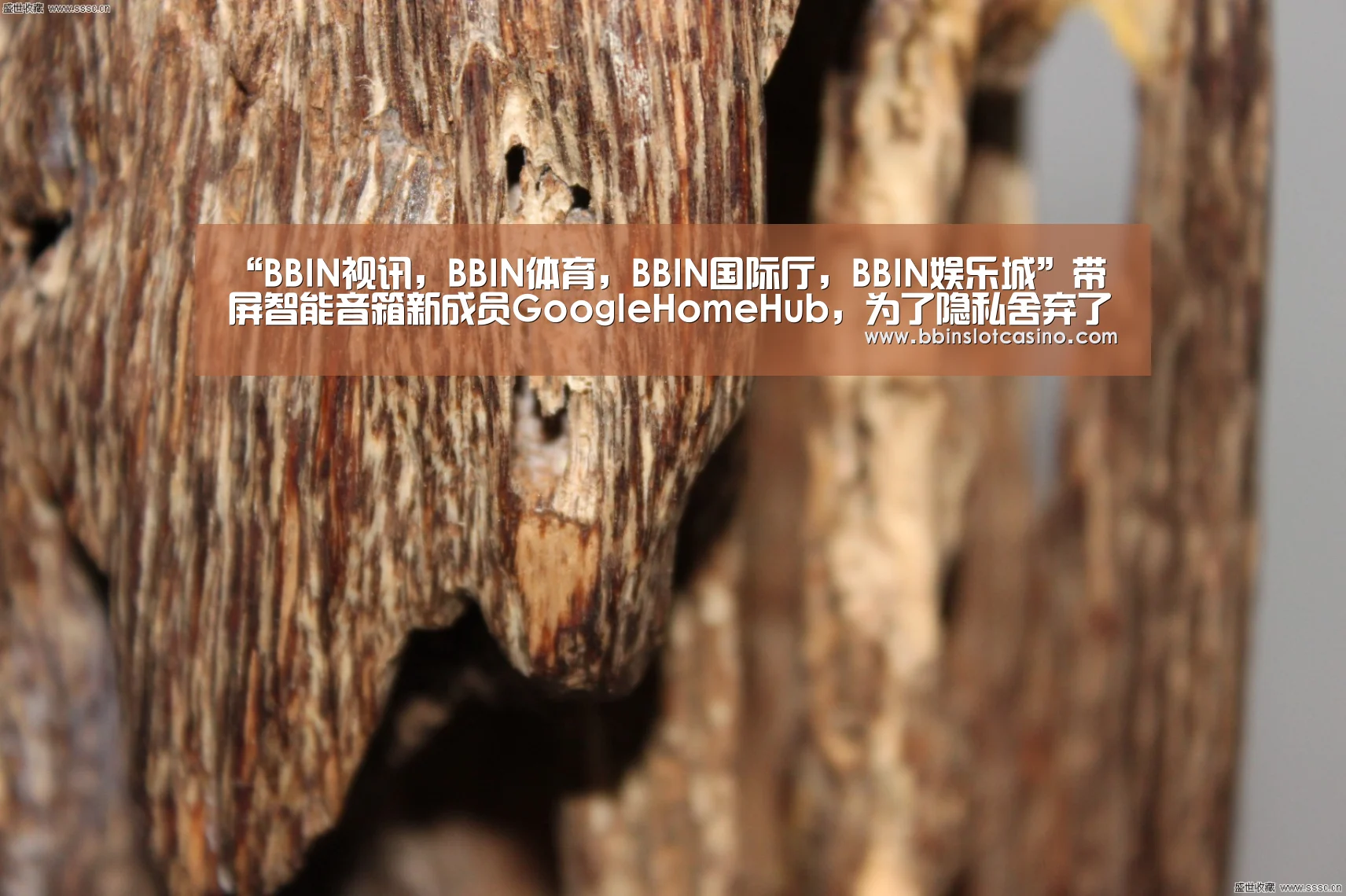 BBIN视讯，BBIN体育，BBIN国际厅，BBIN娱乐城