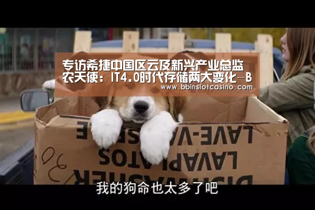 BBIN视讯，BBIN体育，BBIN国际厅，BBIN娱乐城